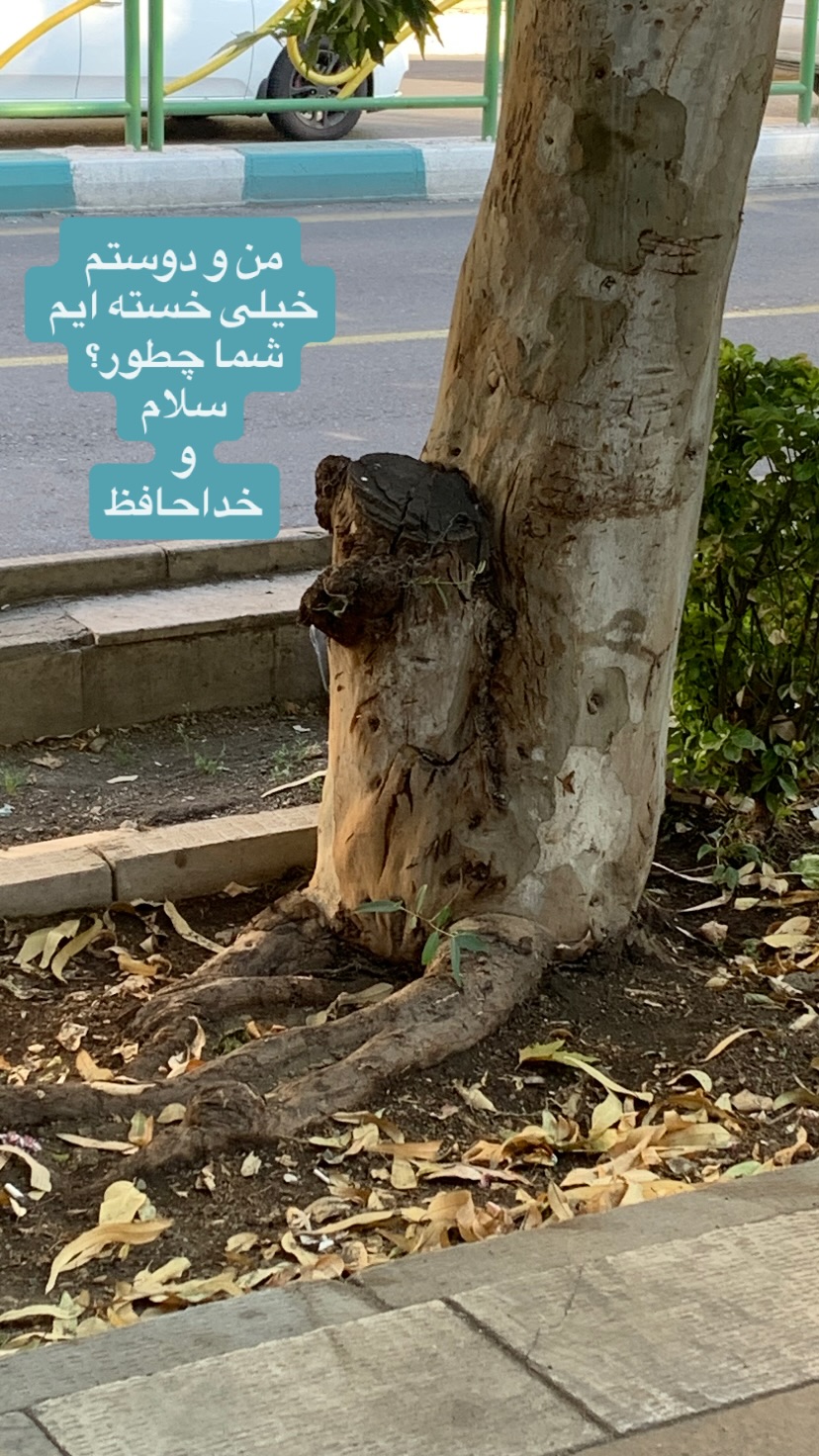  جدید ترین استوری اینستاگرام پرستو گلستانی