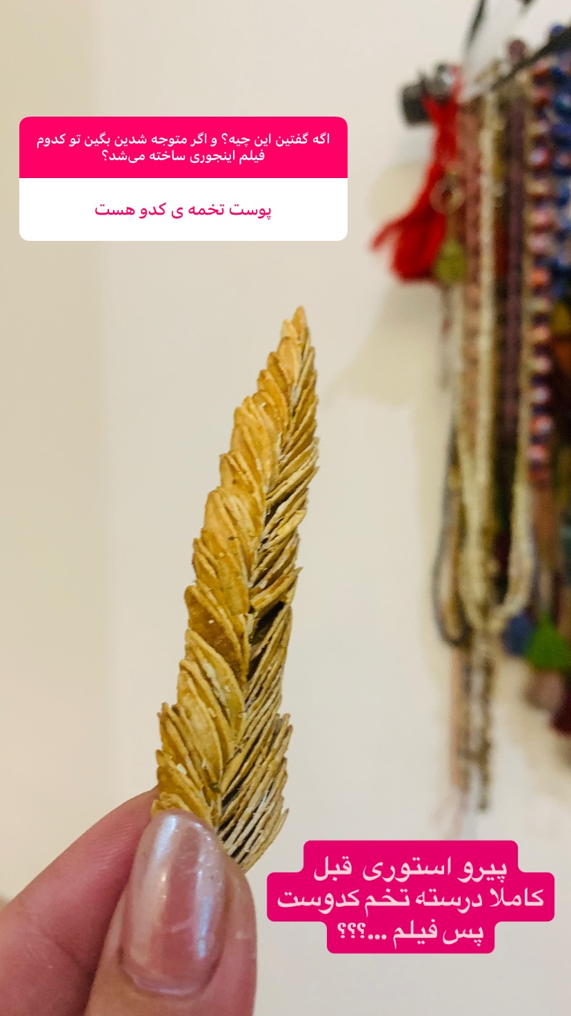  جدید ترین استوری اینستاگرام پرستو گلستانی