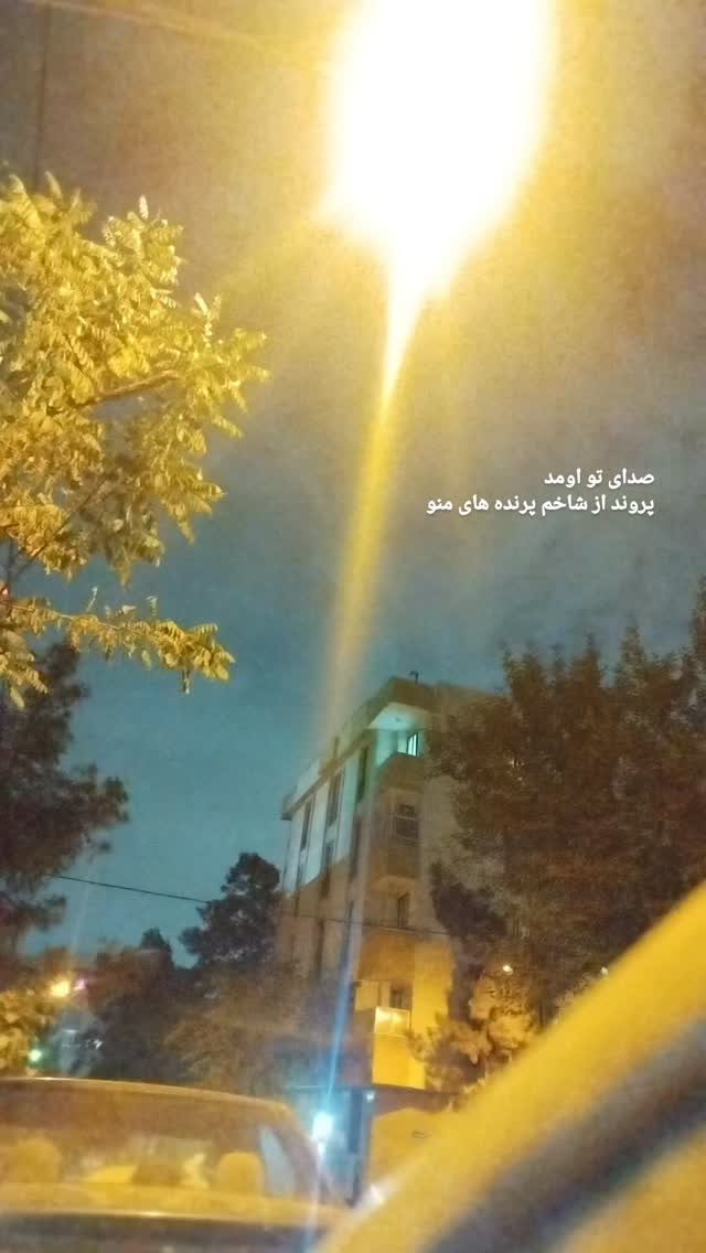  جدید ترین استوری اینستاگرام پرهام عمرانی
