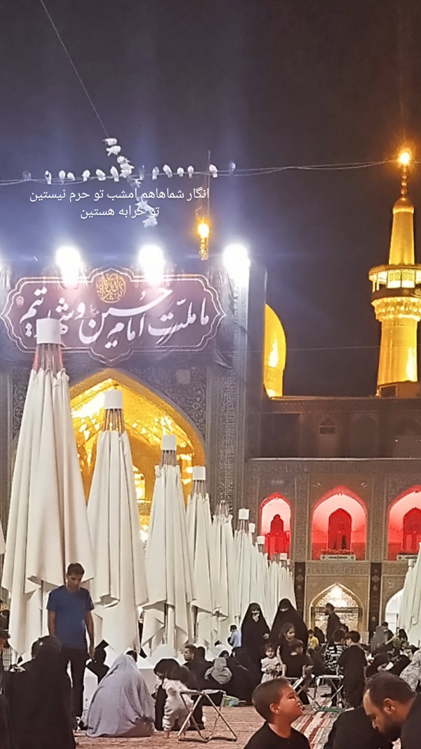  جدید ترین استوری اینستاگرام پرهام عمرانی