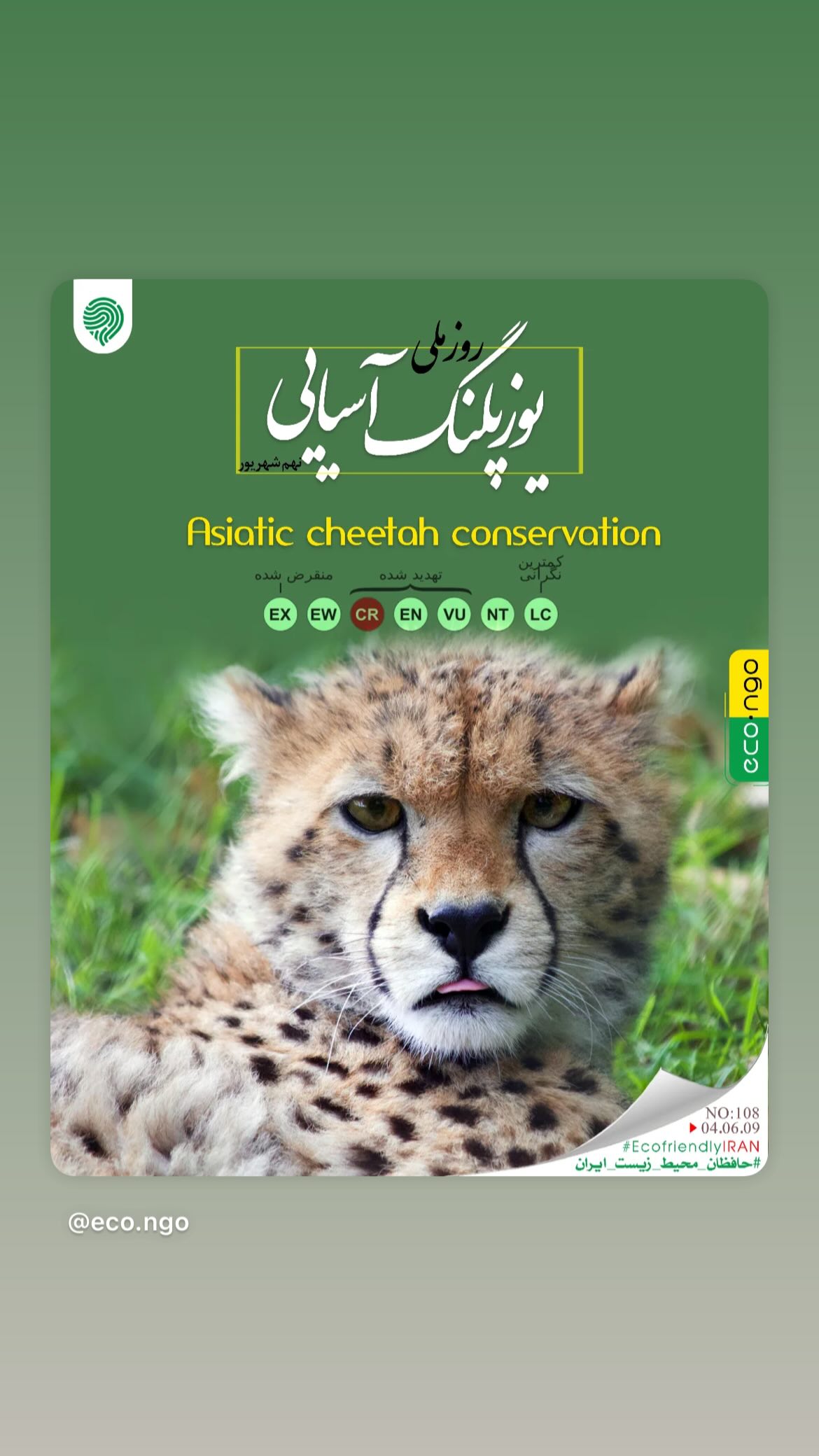  جدید ترین استوری اینستاگرام پریچهر شاهی