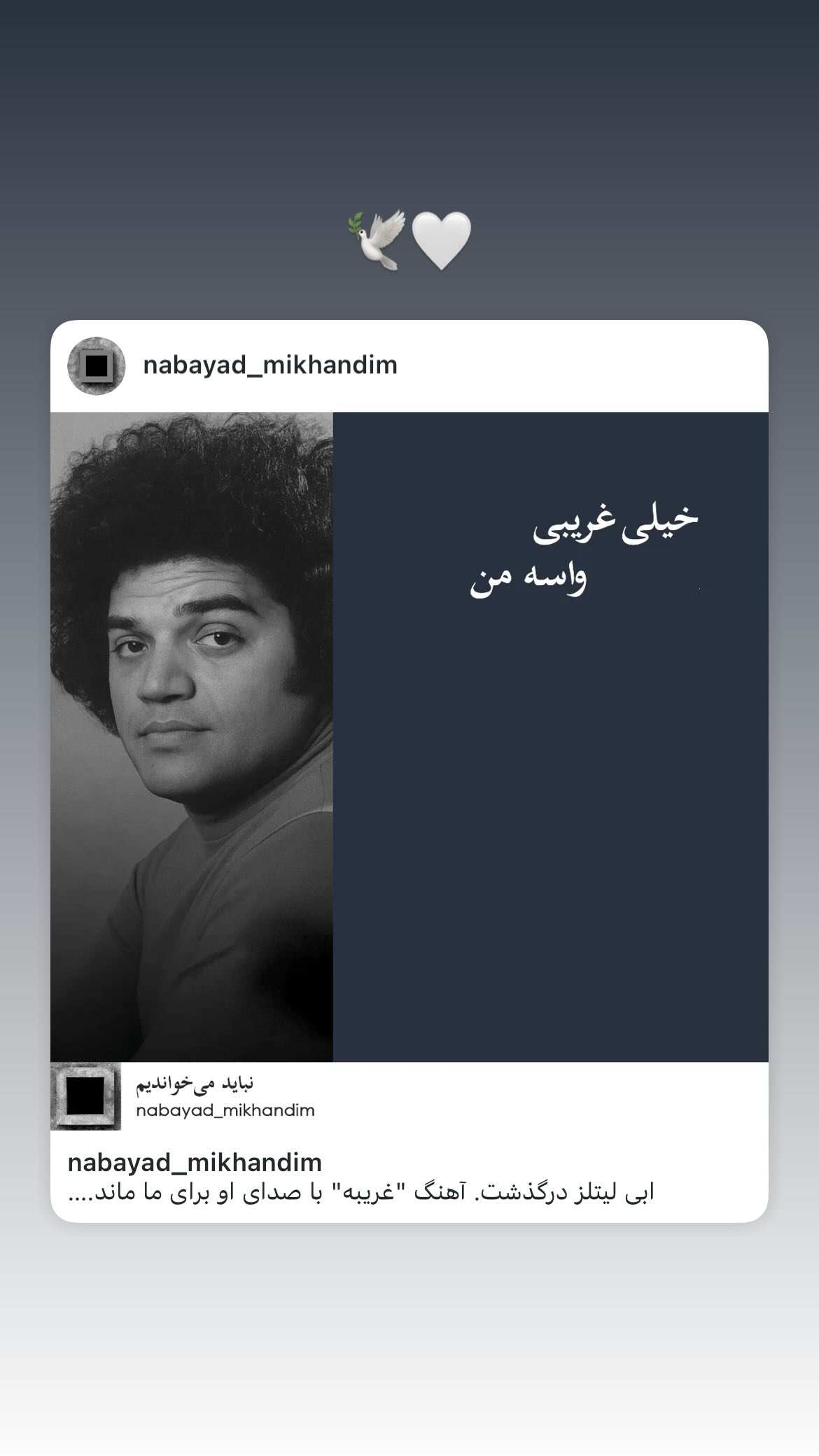  جدید ترین استوری اینستاگرام پریچهر شاهی