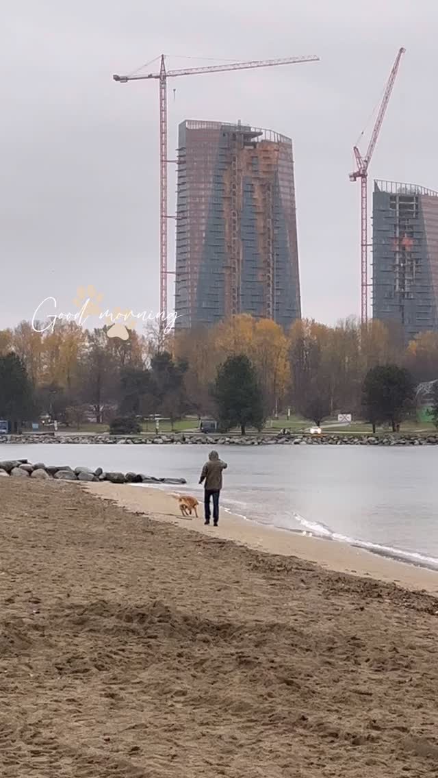  جدید ترین استوری اینستاگرام پریچهر شاهی