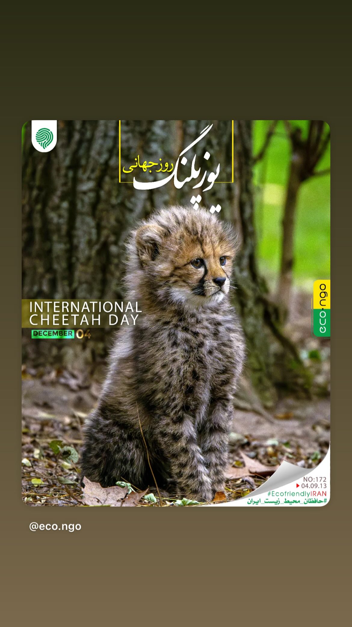  جدید ترین استوری اینستاگرام پریچهر شاهی