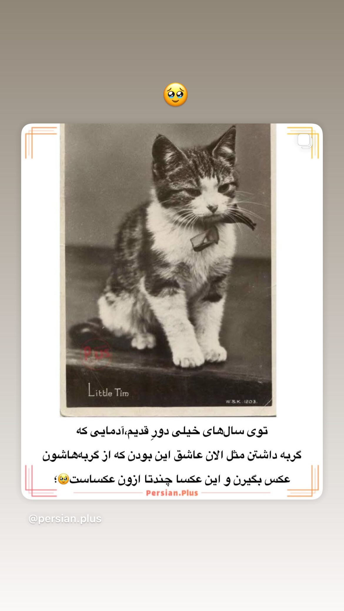  جدید ترین استوری اینستاگرام پریچهر شاهی