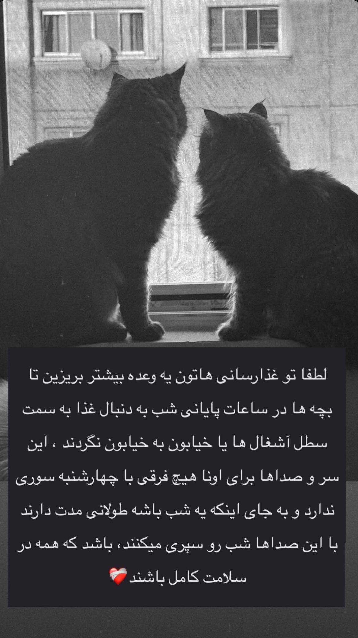 جدید ترین استوری اینستاگرام پریچهر شاهی