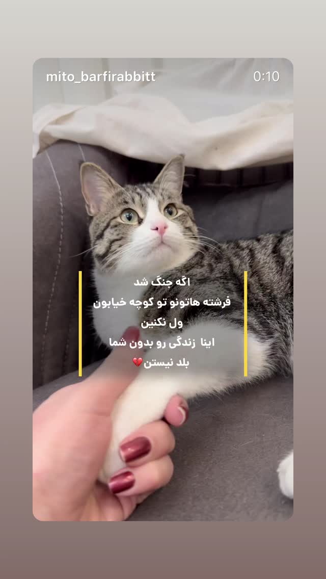  جدید ترین استوری اینستاگرام پریچهر شاهی
