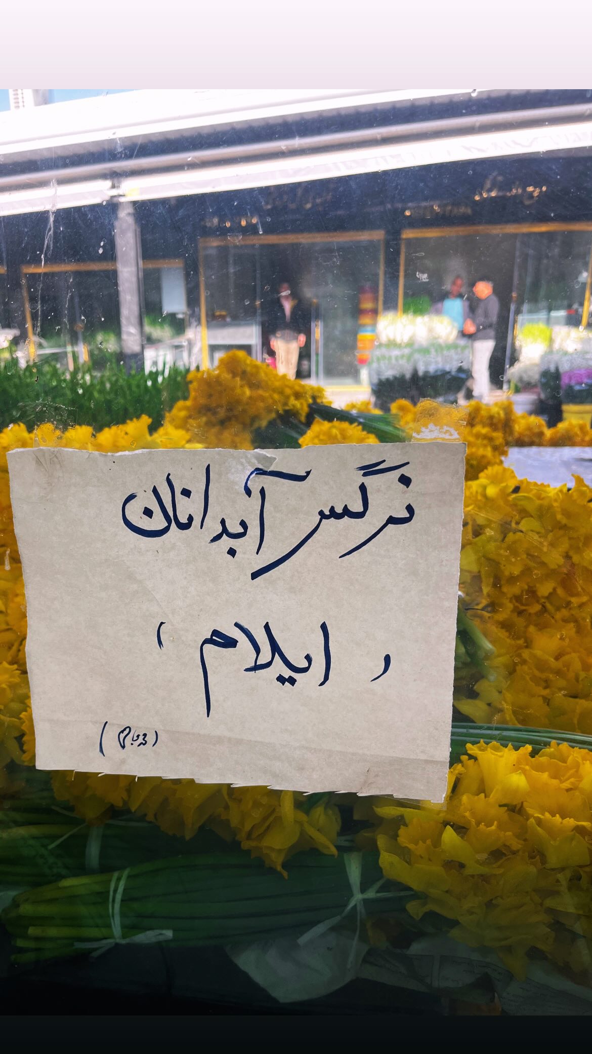  جدید ترین استوری اینستاگرام پریچهر شاهی