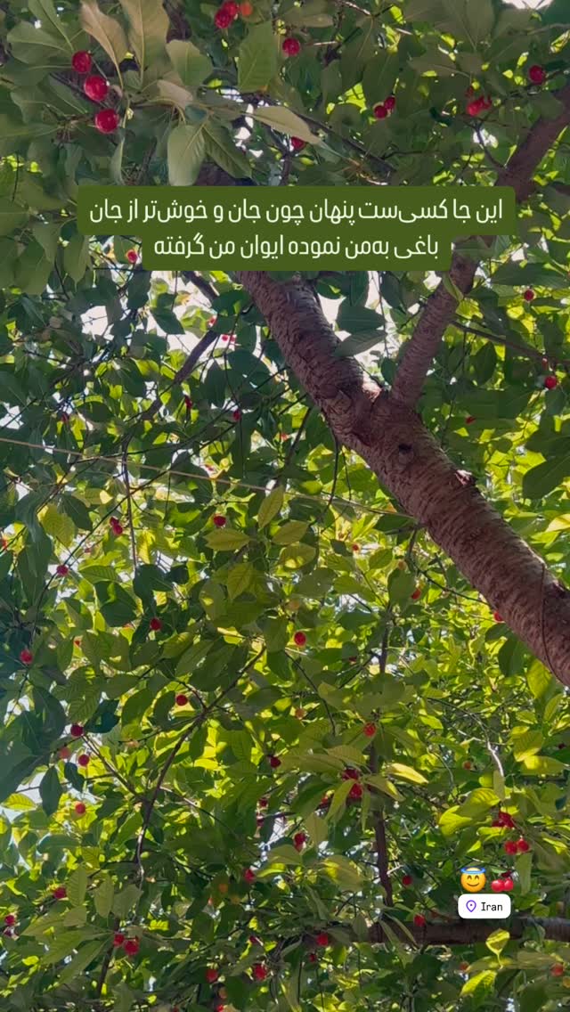  جدید ترین استوری اینستاگرام پریچهر قنبرى