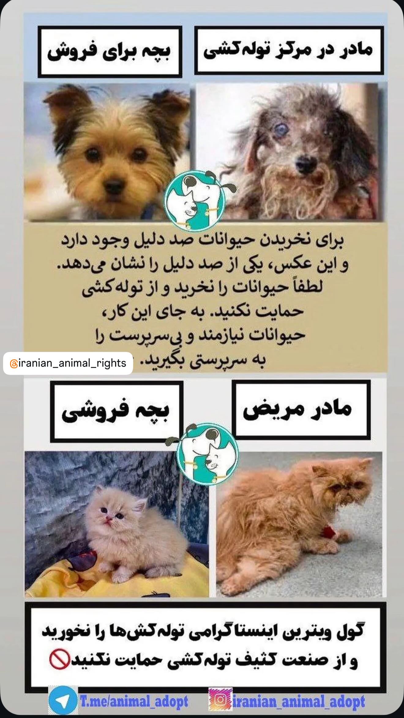  جدید ترین استوری اینستاگرام پریناز ایزدیار