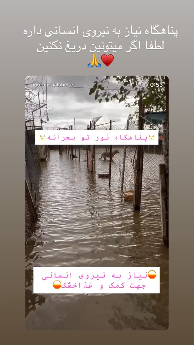  جدید ترین استوری اینستاگرام پریناز ایزدیار
