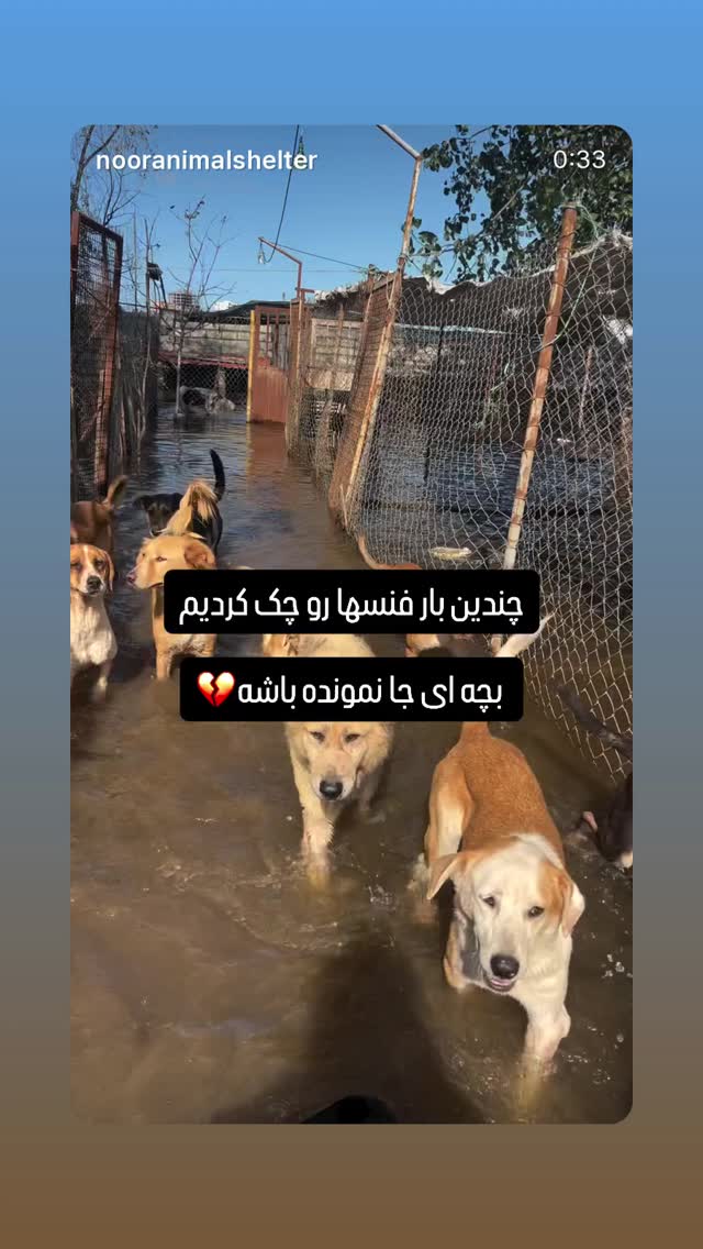  جدید ترین استوری اینستاگرام پریناز ایزدیار