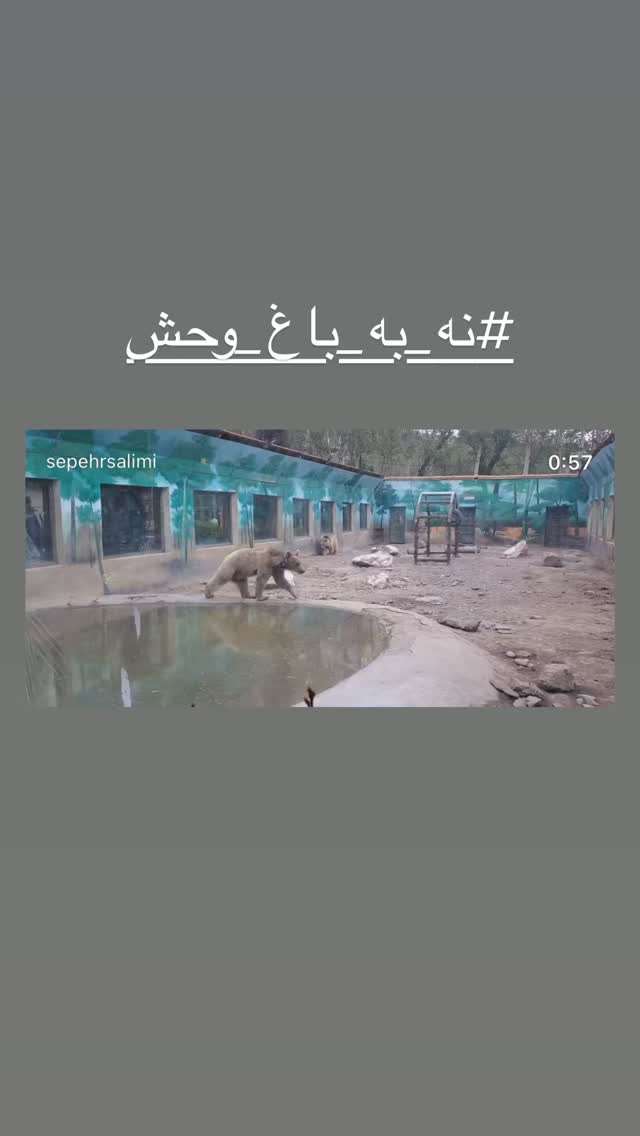  جدید ترین استوری اینستاگرام پریناز ایزدیار