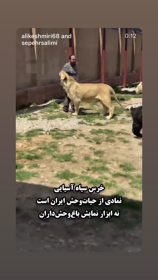  جدید ترین استوری اینستاگرام پریناز ایزدیار