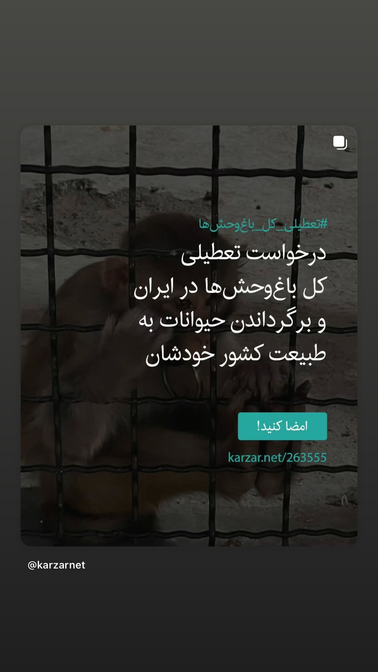  جدید ترین استوری اینستاگرام پریناز ایزدیار