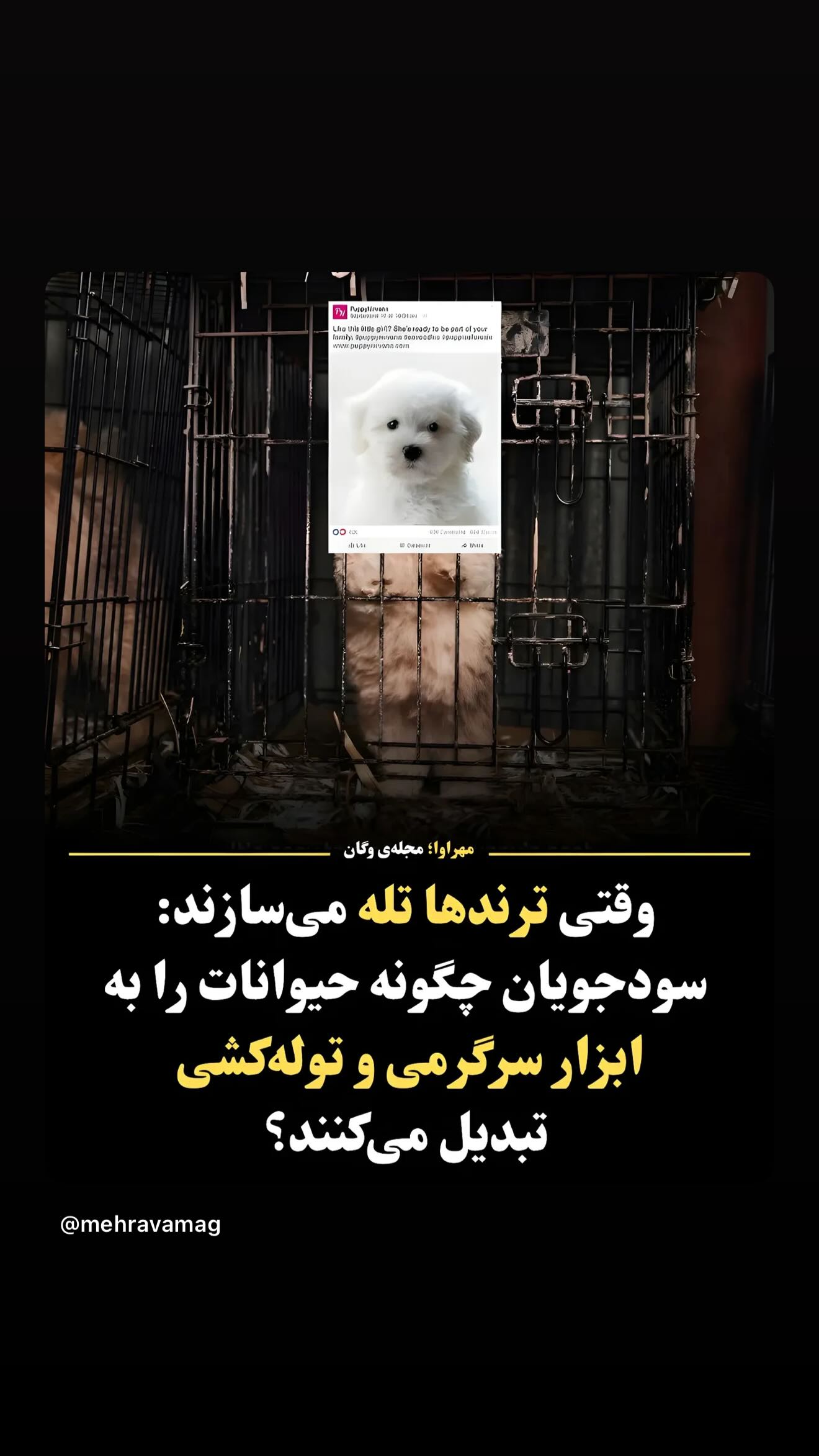  جدید ترین استوری اینستاگرام پریناز ایزدیار