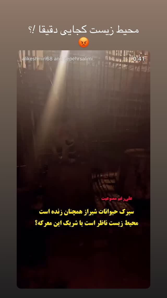  جدید ترین استوری اینستاگرام پریناز ایزدیار