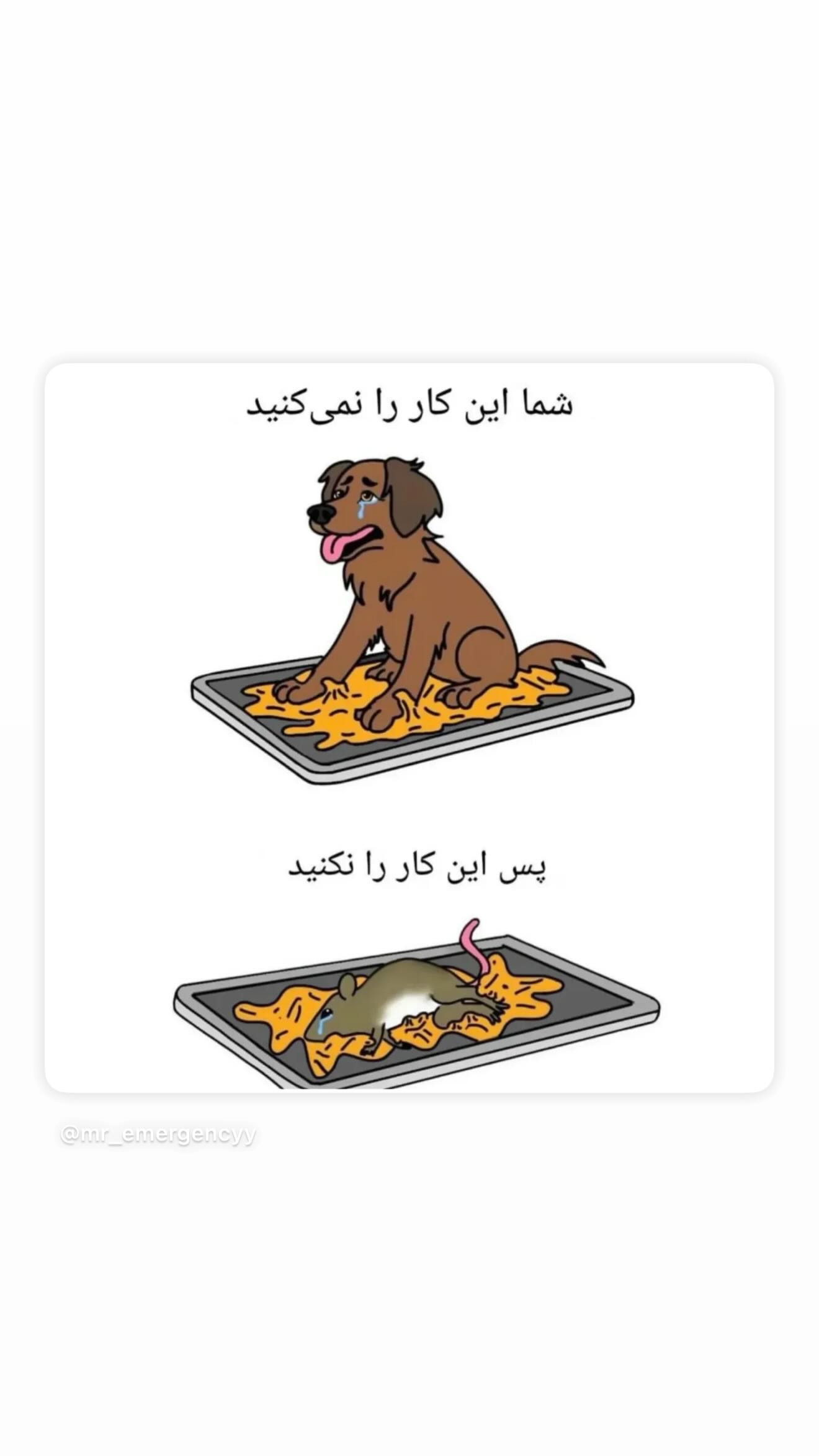  جدید ترین استوری اینستاگرام پریناز ایزدیار