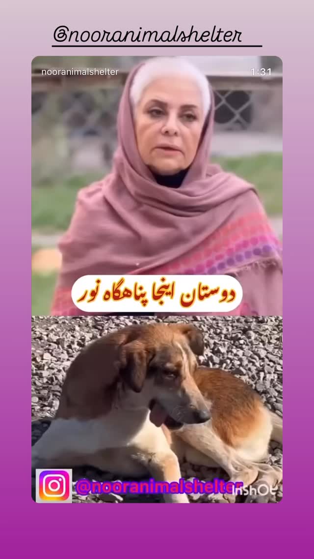  جدید ترین استوری اینستاگرام پریناز ایزدیار