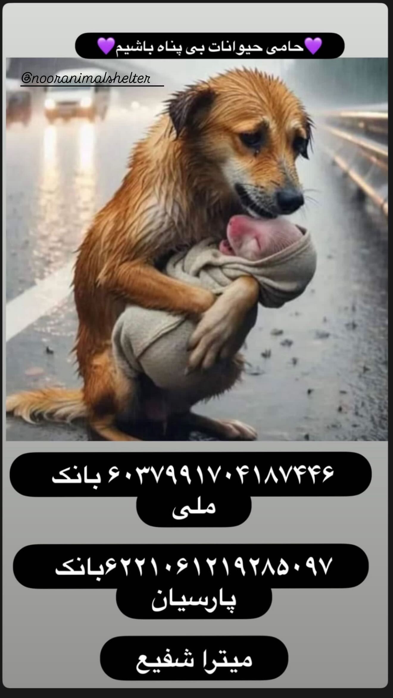  جدید ترین استوری اینستاگرام پریناز ایزدیار