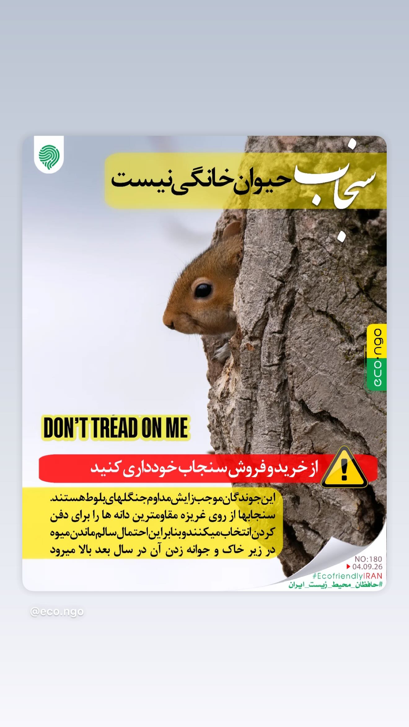  جدید ترین استوری اینستاگرام پریناز ایزدیار