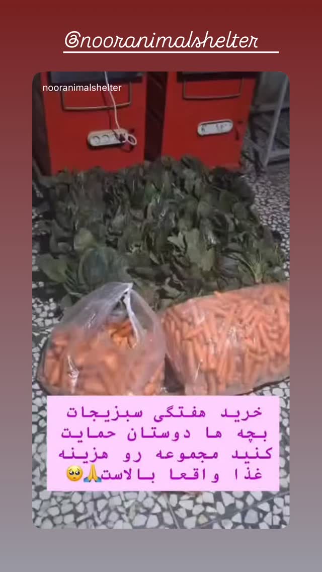  جدید ترین استوری اینستاگرام پریناز ایزدیار
