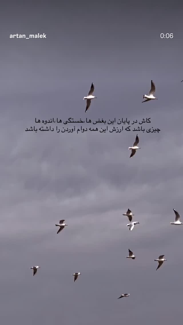  جدید ترین استوری اینستاگرام پریسا غریبی