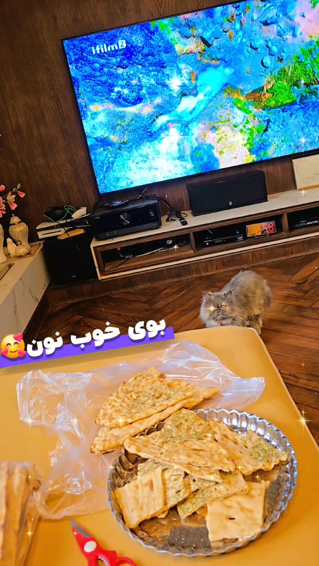  جدید ترین استوری اینستاگرام پریسا نصری