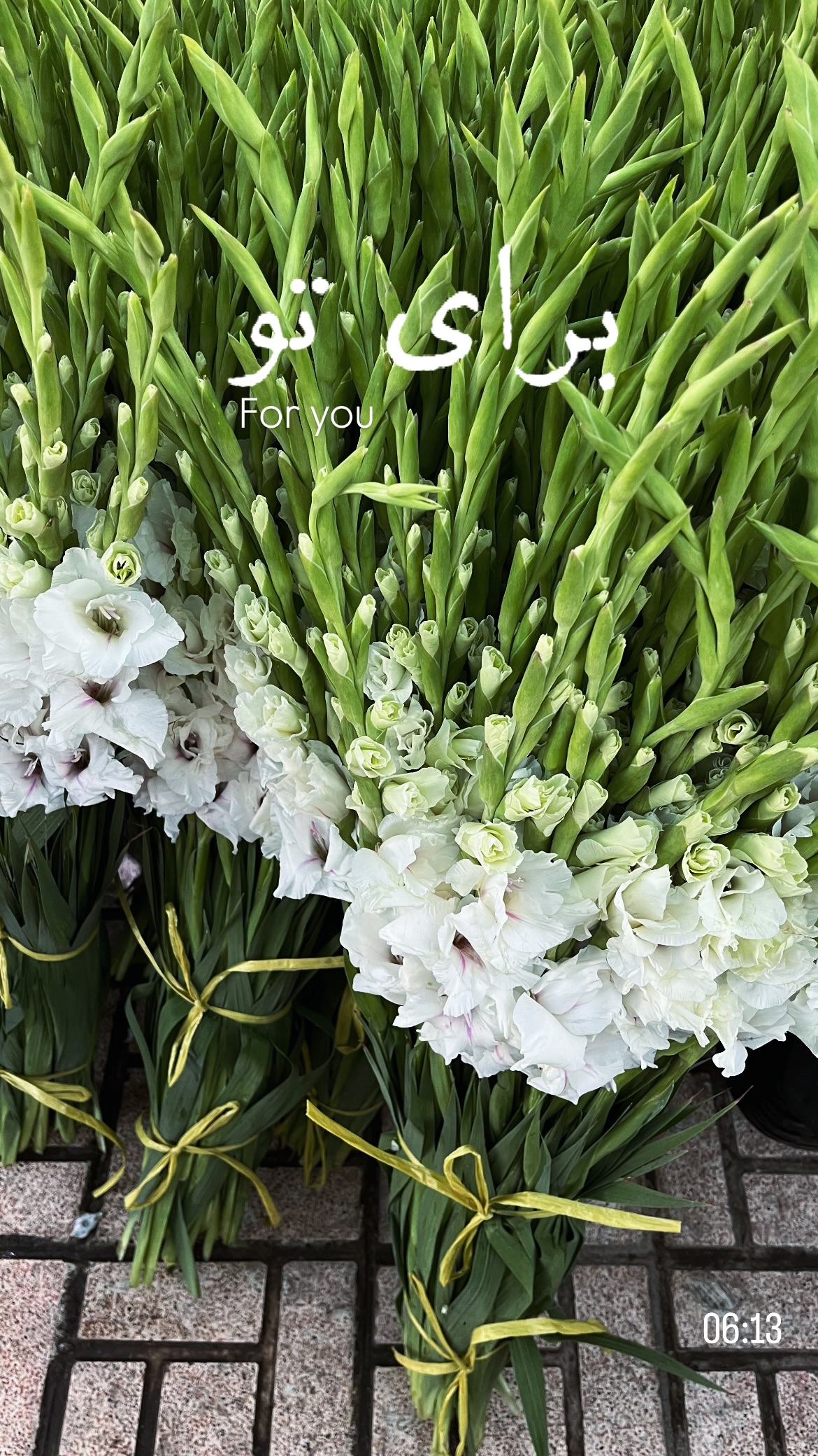  جدید ترین استوری اینستاگرام پريسا درخشنده