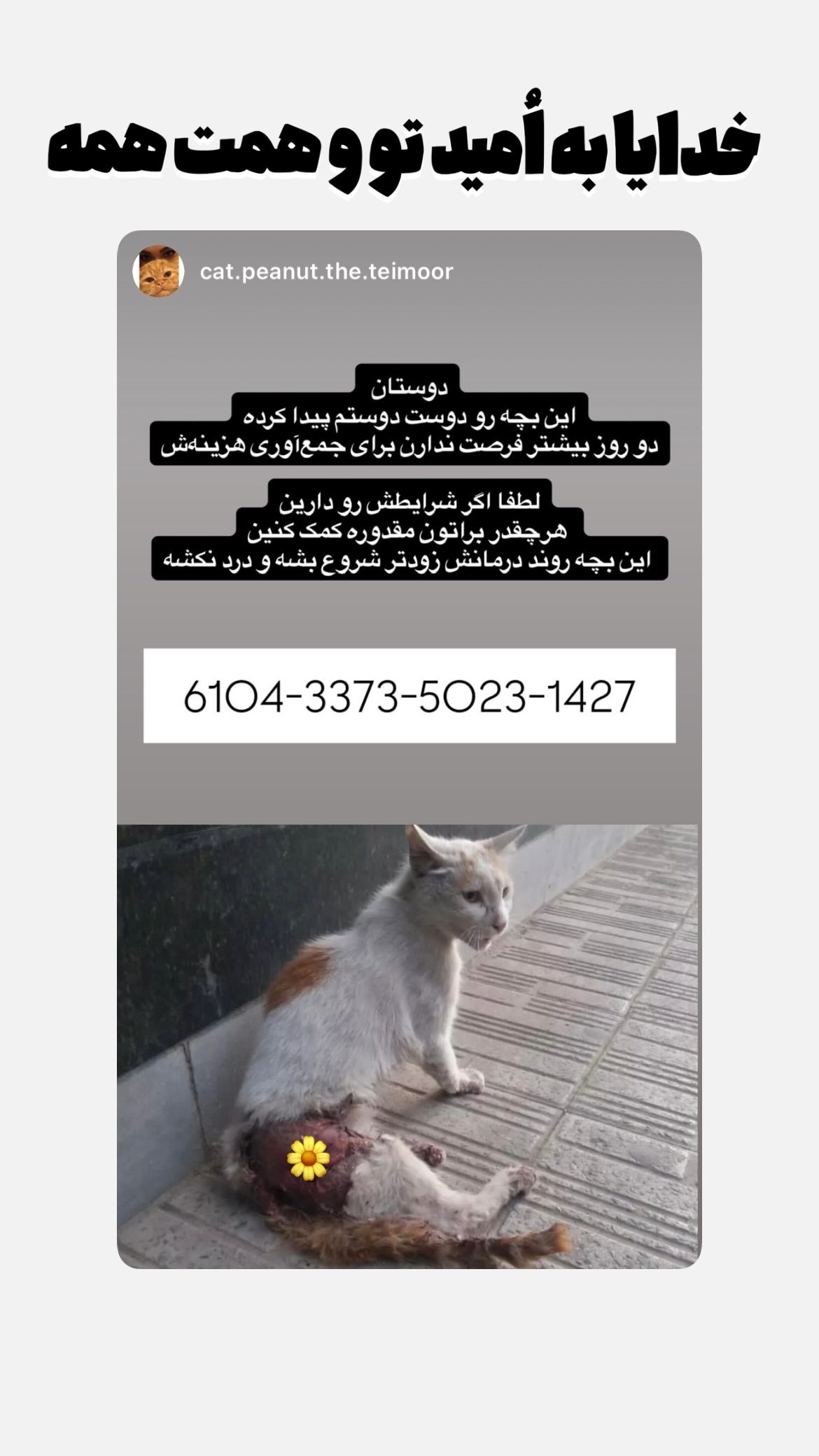  جدید ترین استوری اینستاگرام پريسا درخشنده