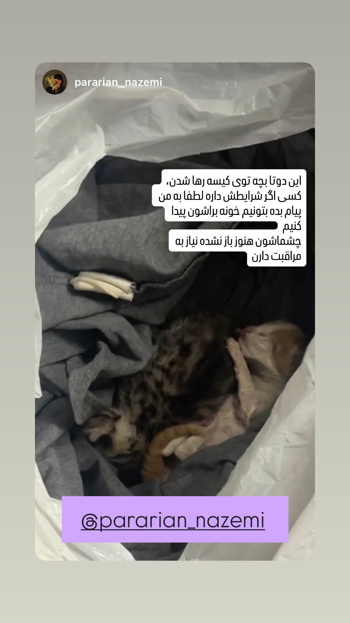  جدید ترین استوری اینستاگرام پريسا درخشنده