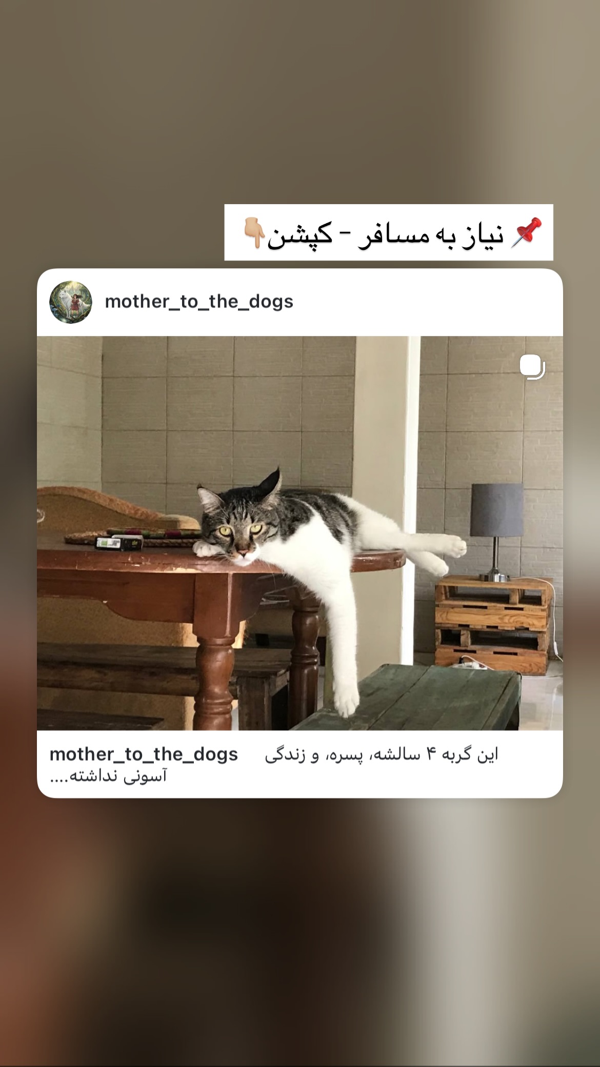  جدید ترین استوری اینستاگرام پريسا درخشنده