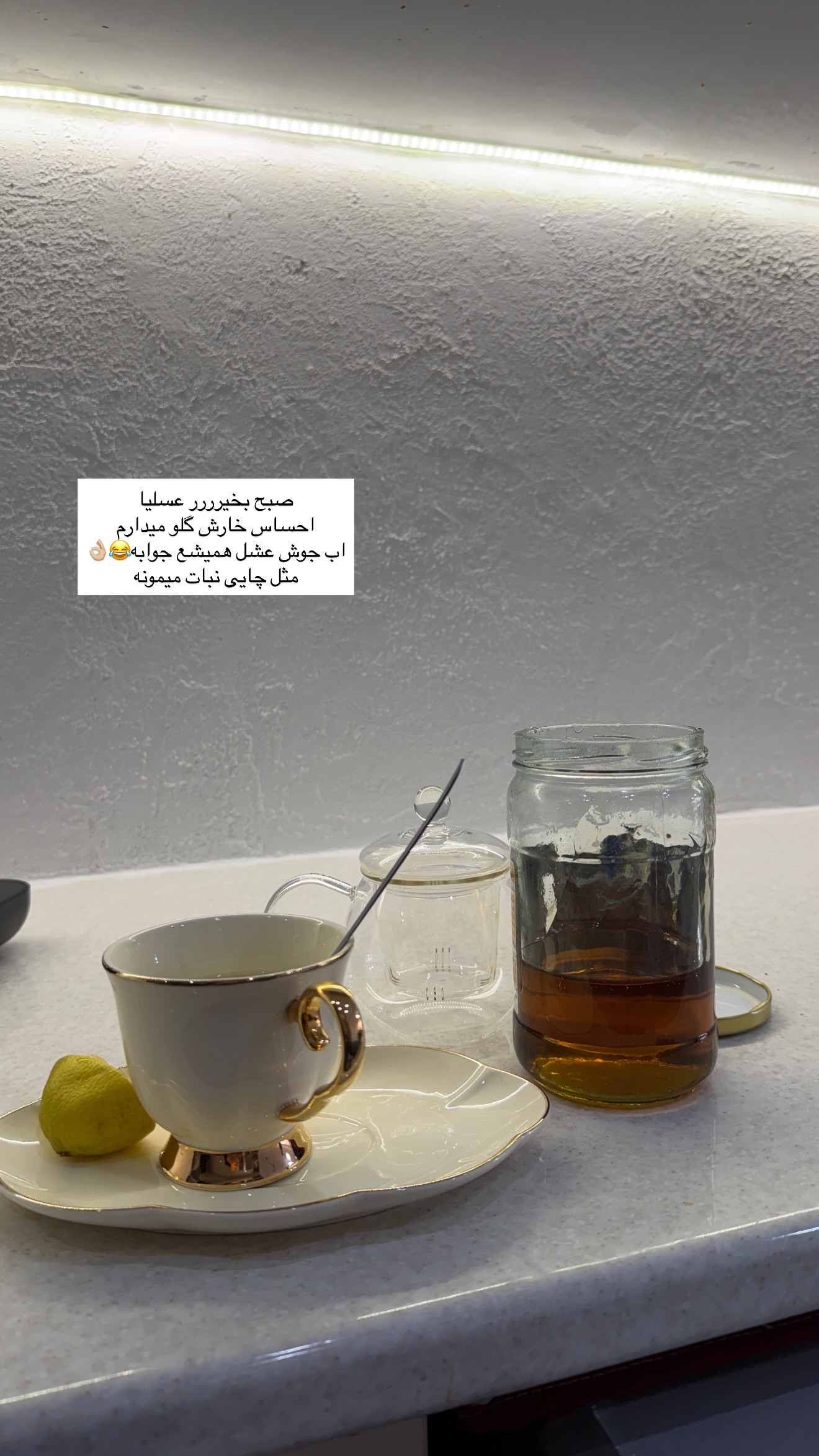  جدید ترین استوری اینستاگرام پریسان
