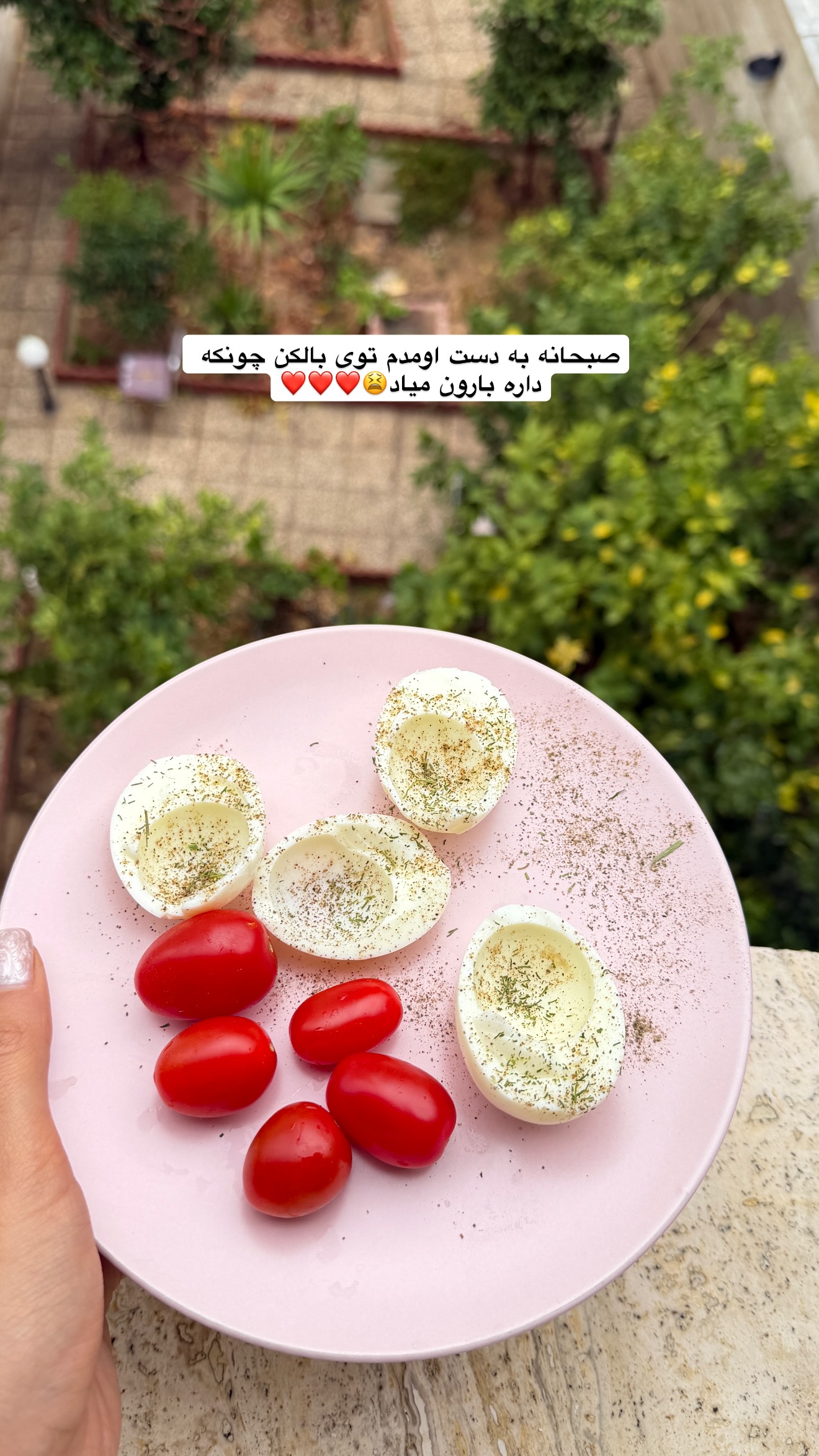  جدید ترین استوری اینستاگرام پریسان