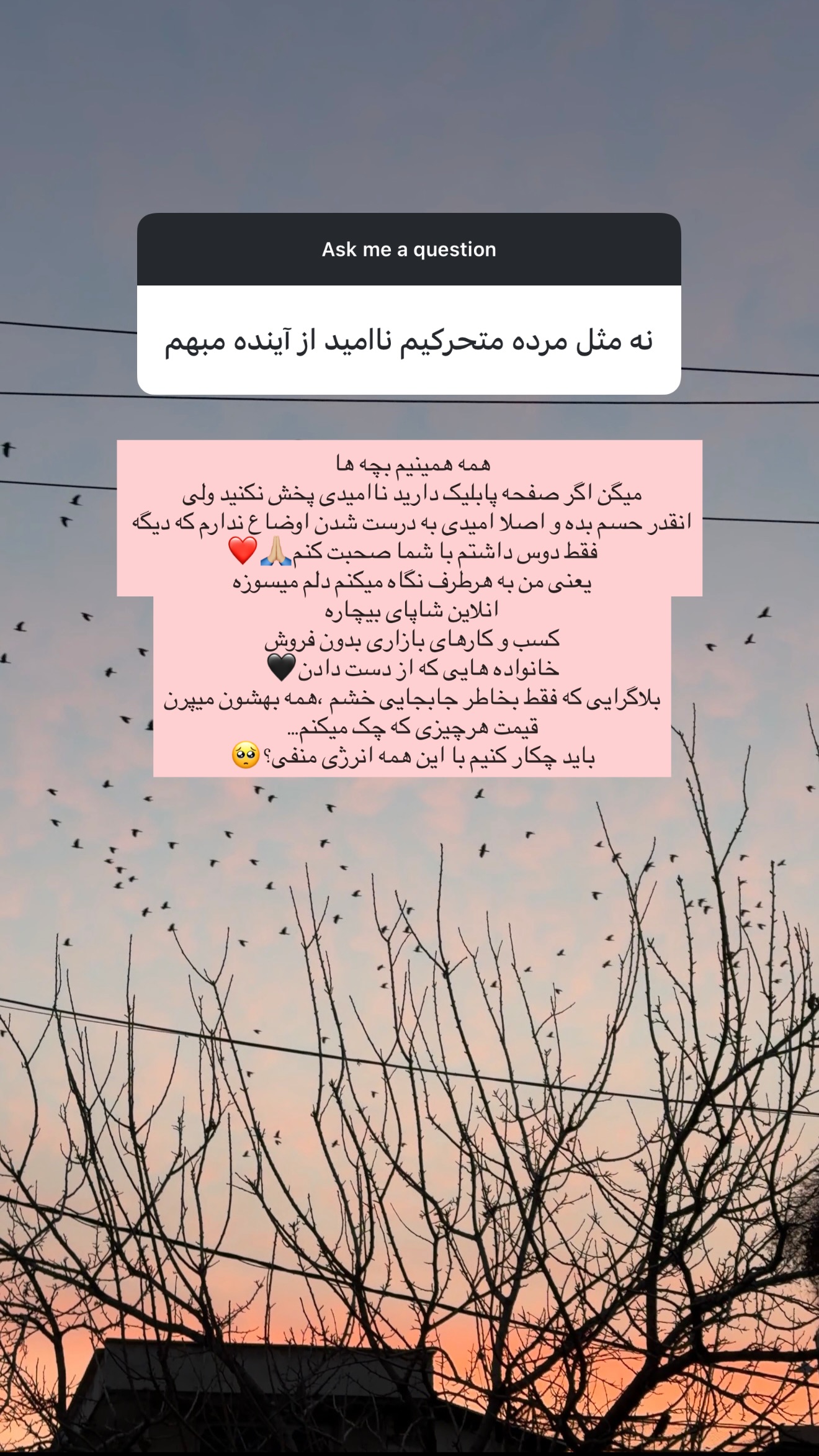  جدید ترین استوری اینستاگرام پریسان