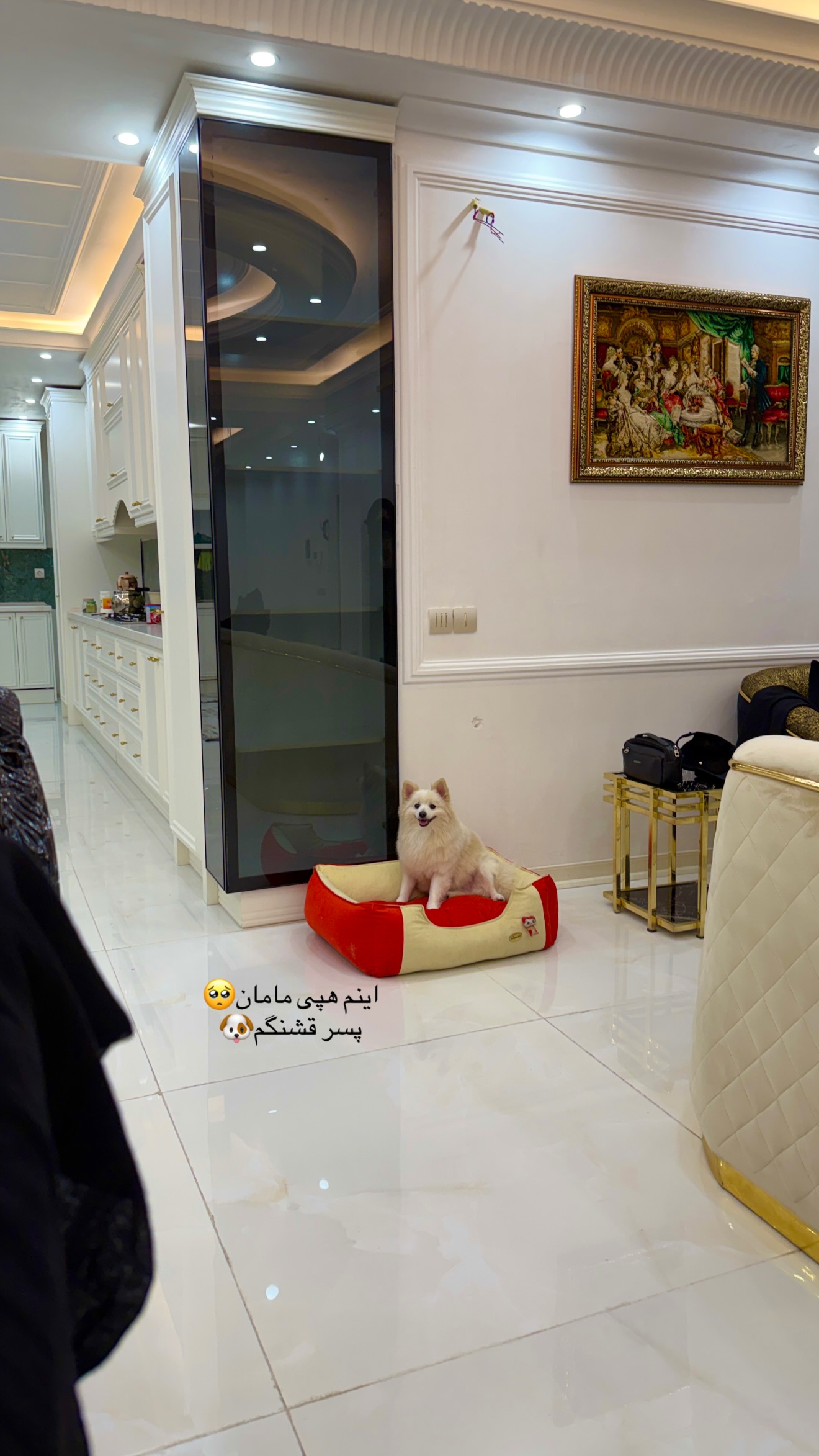  جدید ترین استوری اینستاگرام پری آ