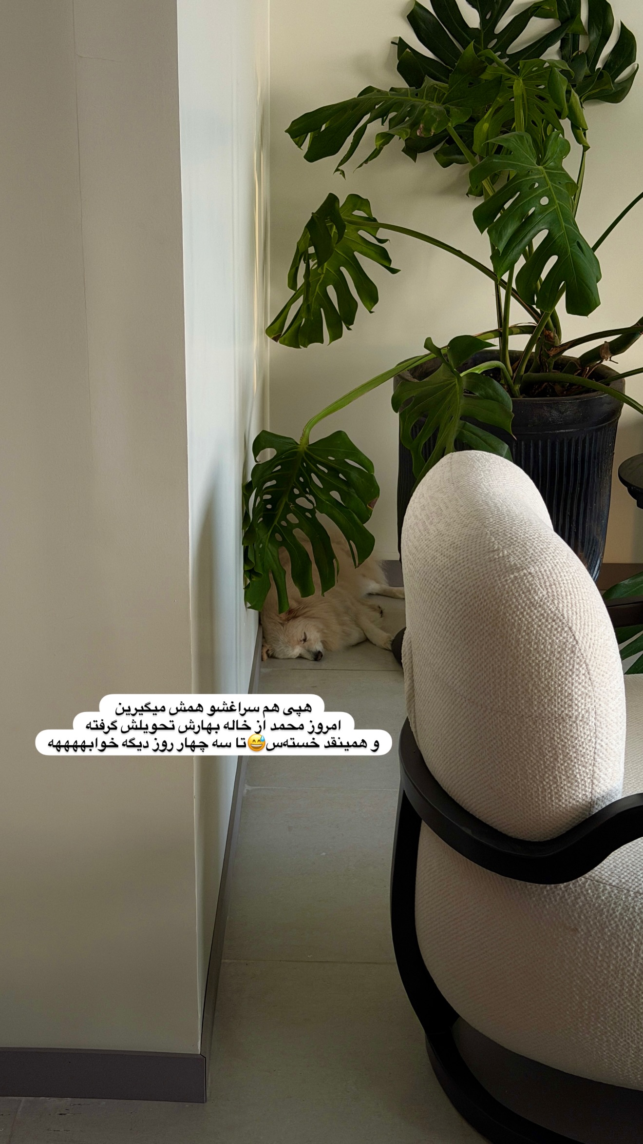  جدید ترین استوری اینستاگرام پری آ