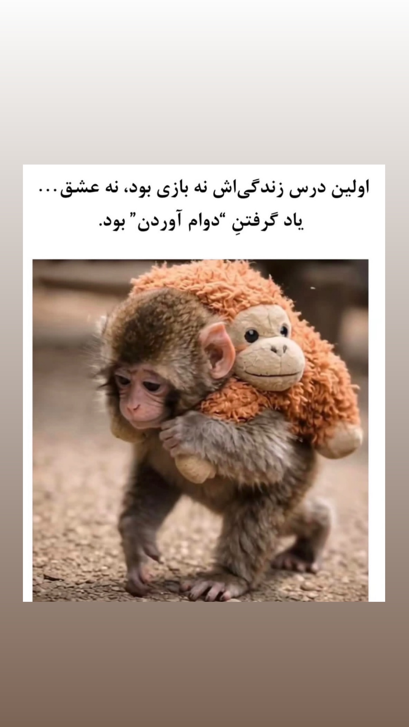  جدید ترین استوری اینستاگرام پری آ