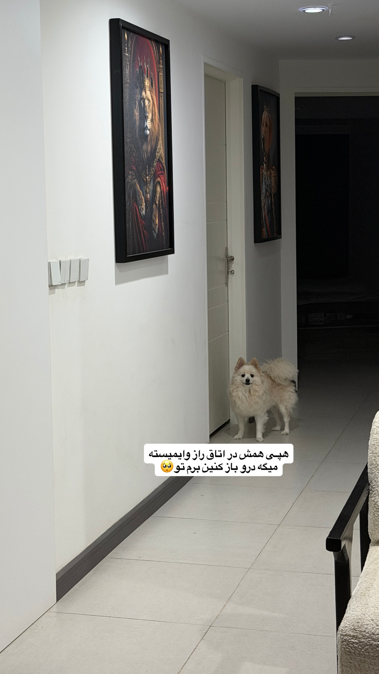  جدید ترین استوری اینستاگرام پری آ