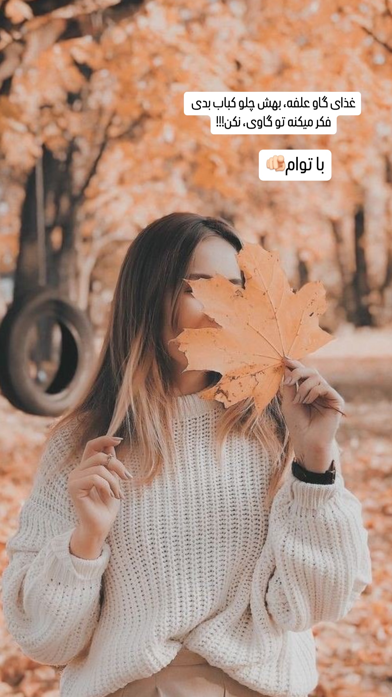  جدید ترین استوری اینستاگرام فرشیده کوچک