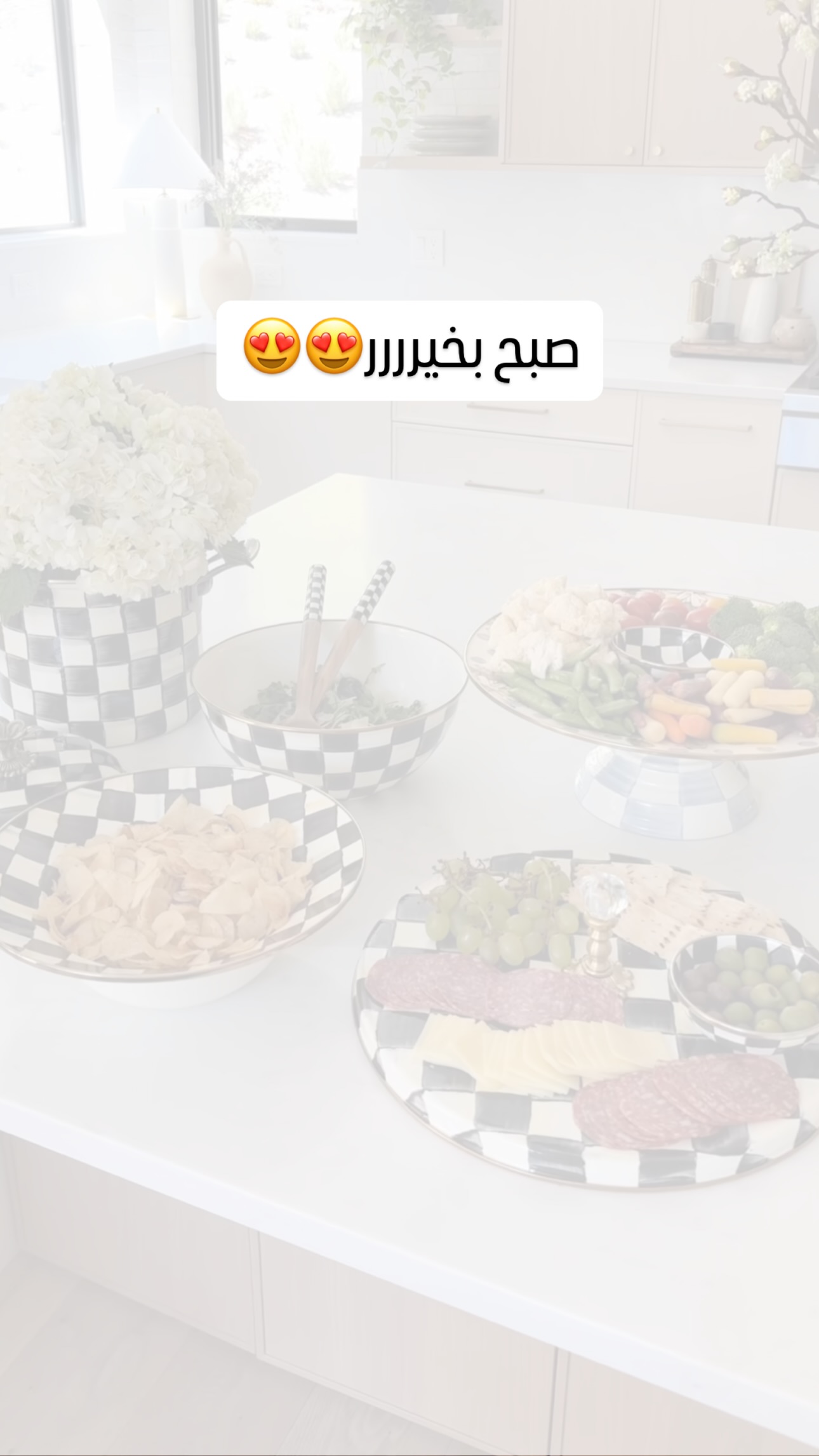  جدید ترین استوری اینستاگرام فرشیده کوچک