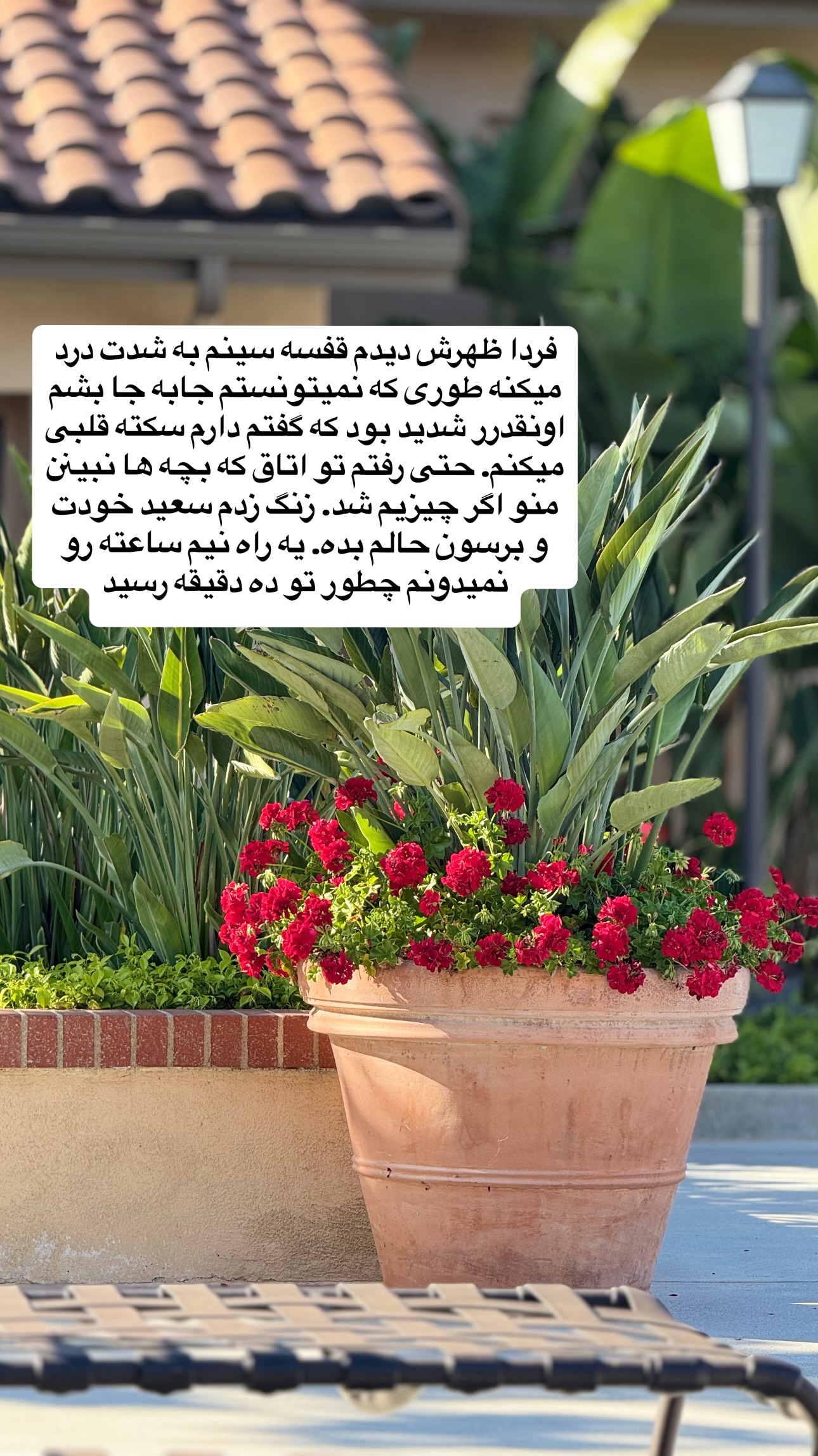  جدید ترین استوری اینستاگرام فرشیده کوچک