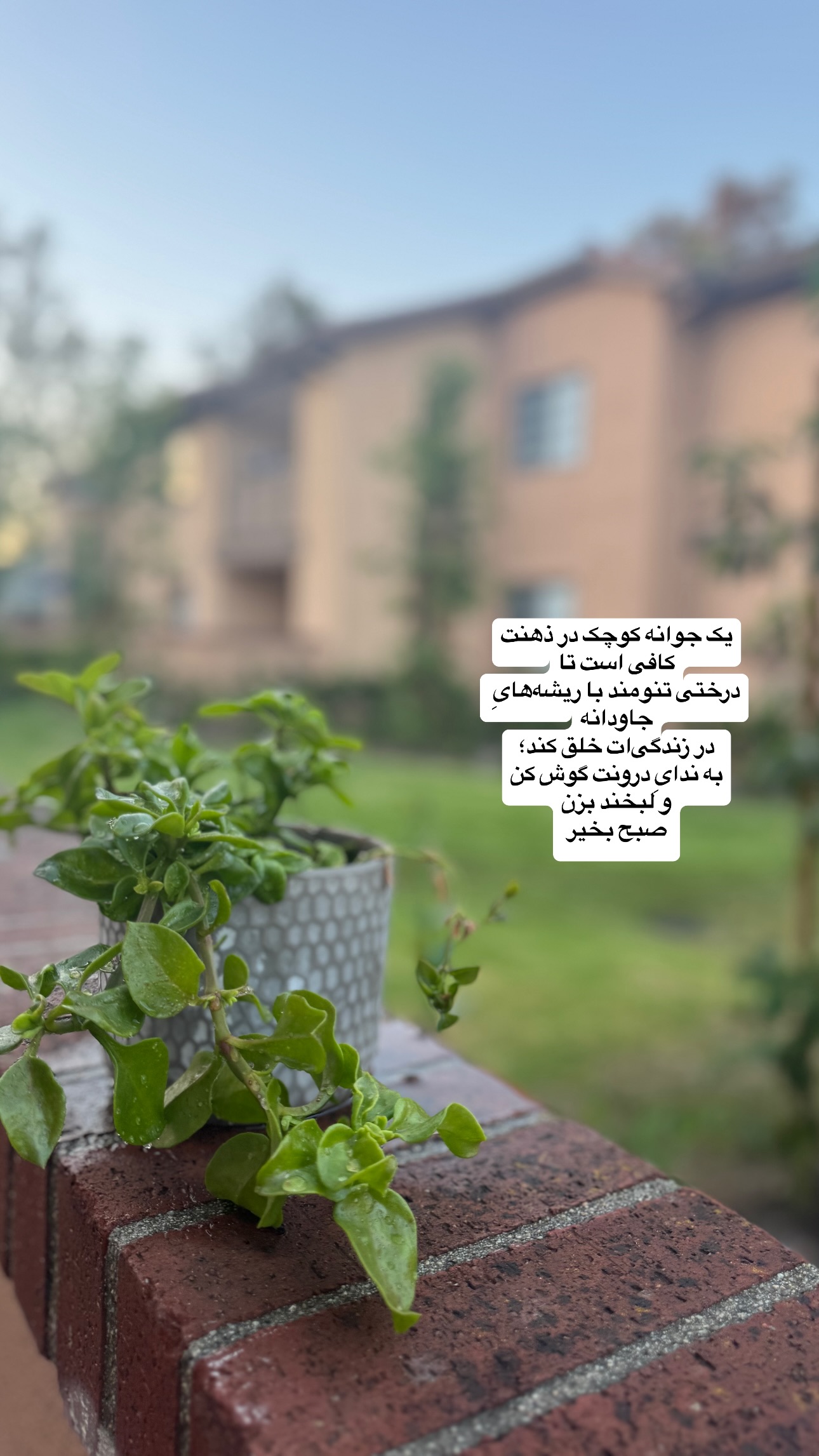  جدید ترین استوری اینستاگرام فرشیده کوچک
