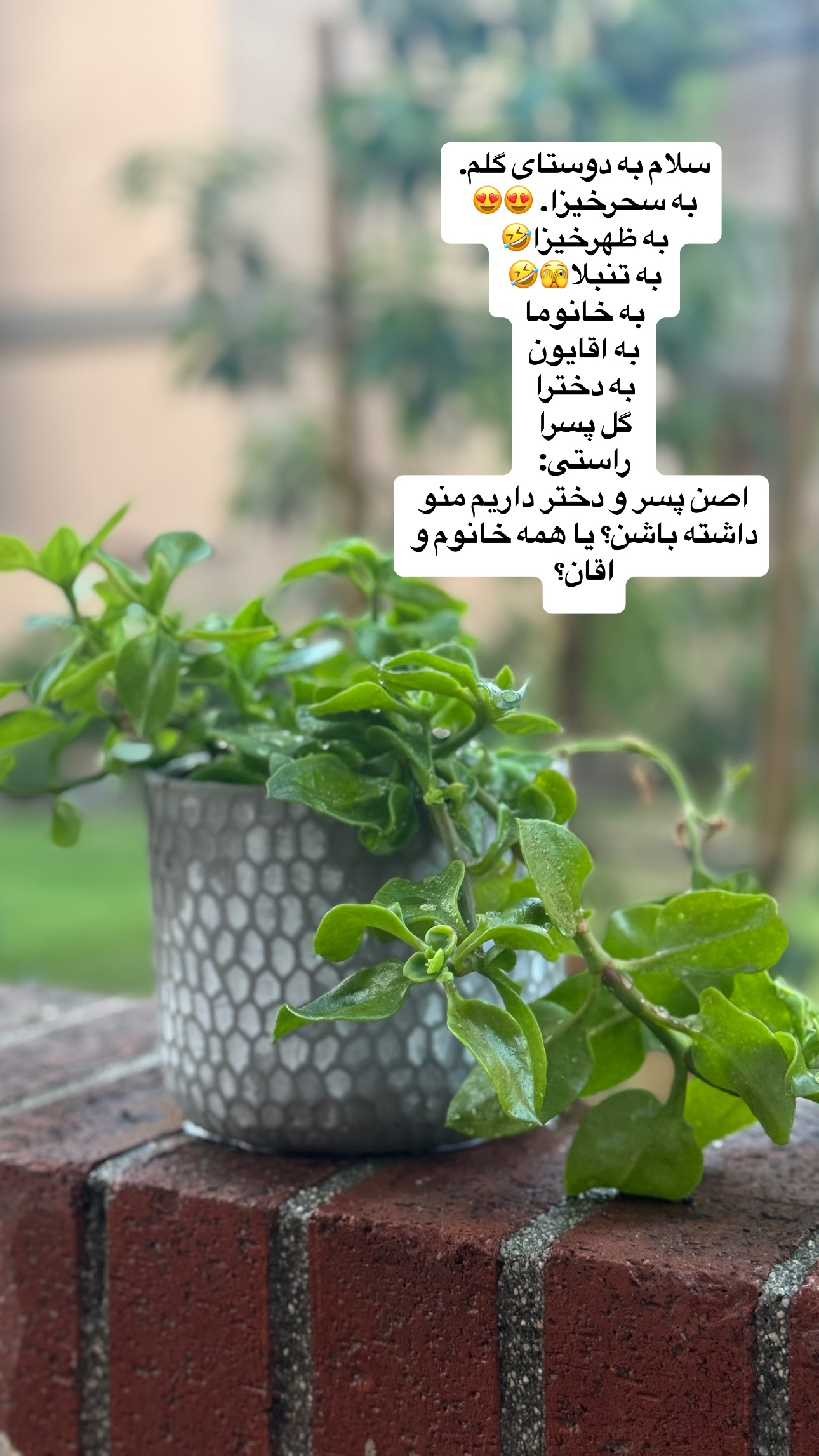  جدید ترین استوری اینستاگرام فرشیده کوچک