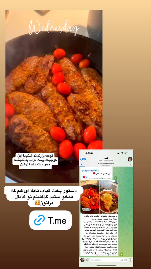  جدید ترین استوری اینستاگرام فرشیده کوچک