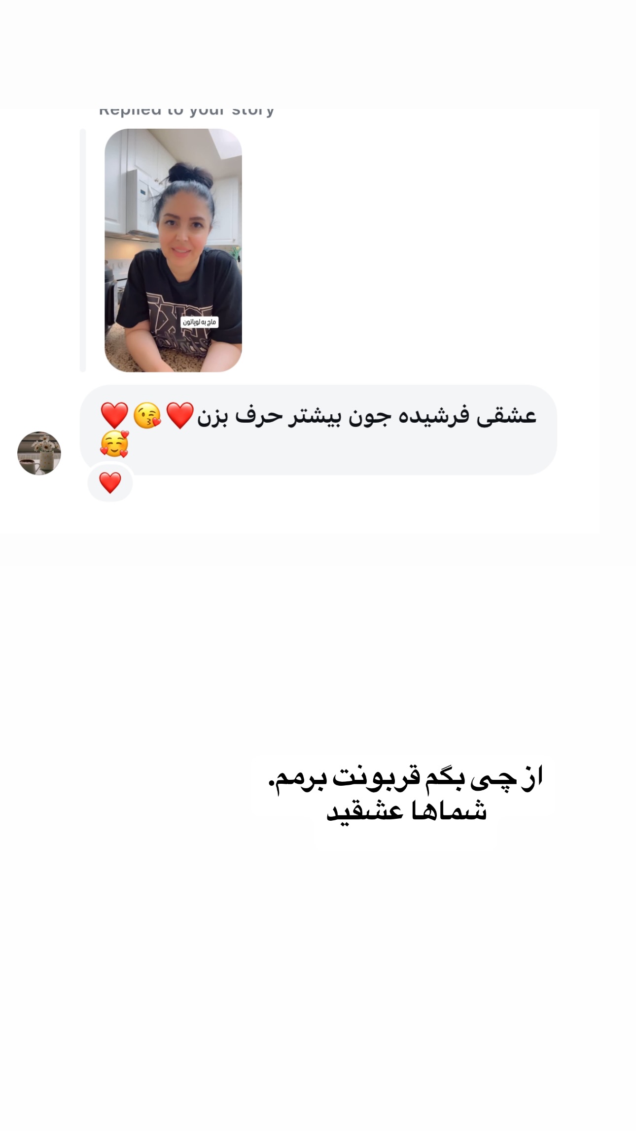  جدید ترین استوری اینستاگرام فرشیده کوچک