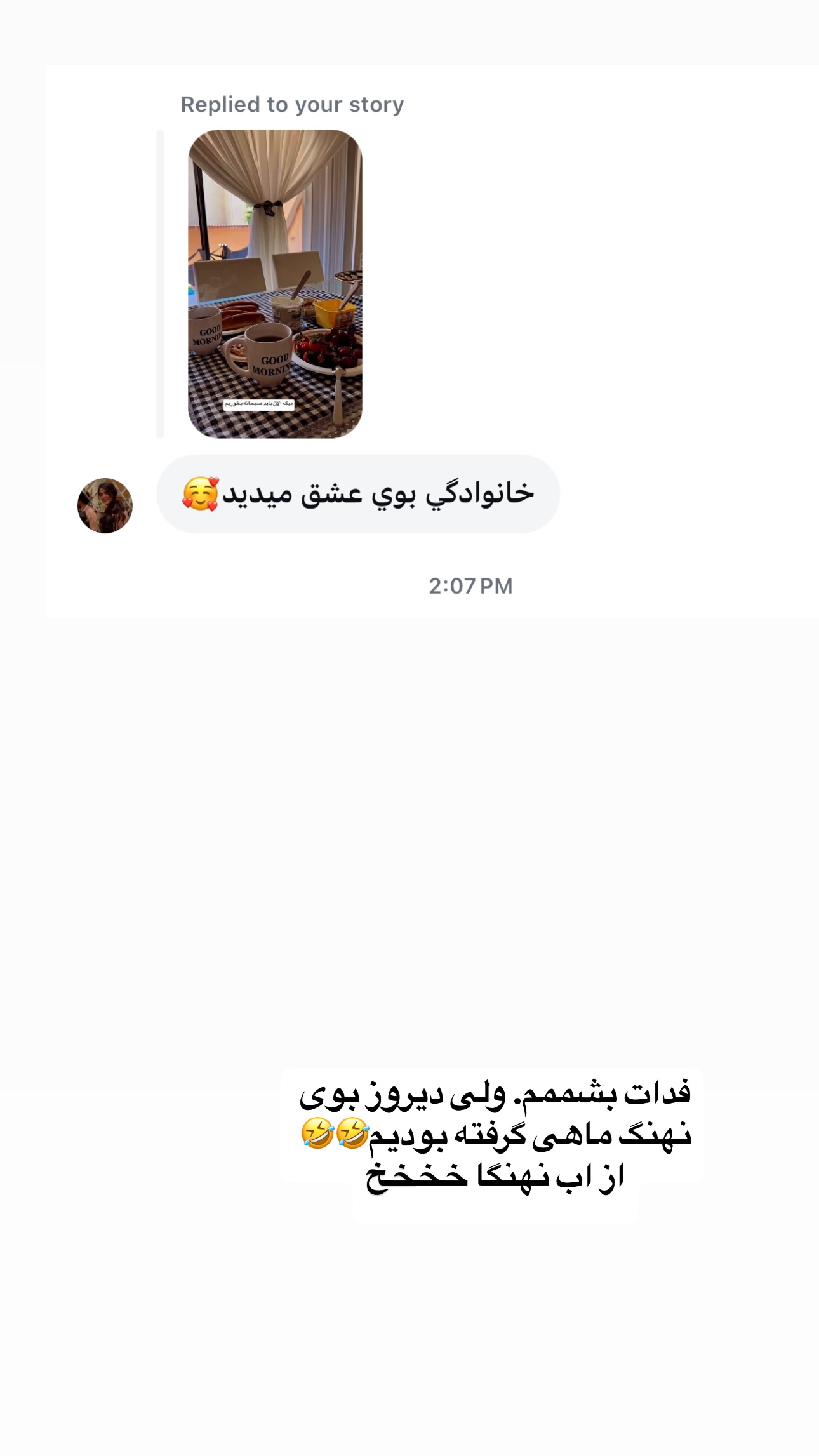  جدید ترین استوری اینستاگرام فرشیده کوچک