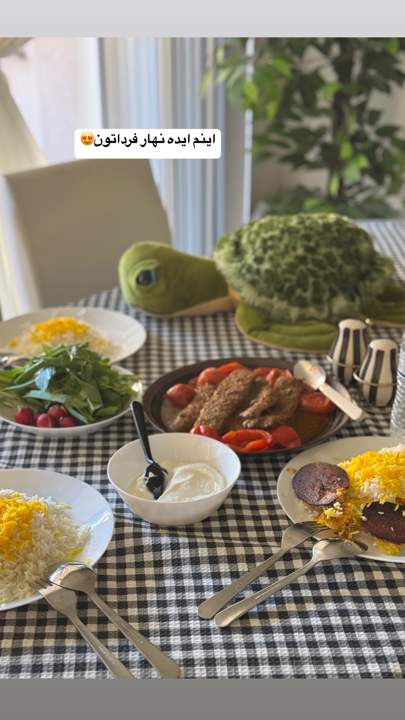  جدید ترین استوری اینستاگرام فرشیده کوچک
