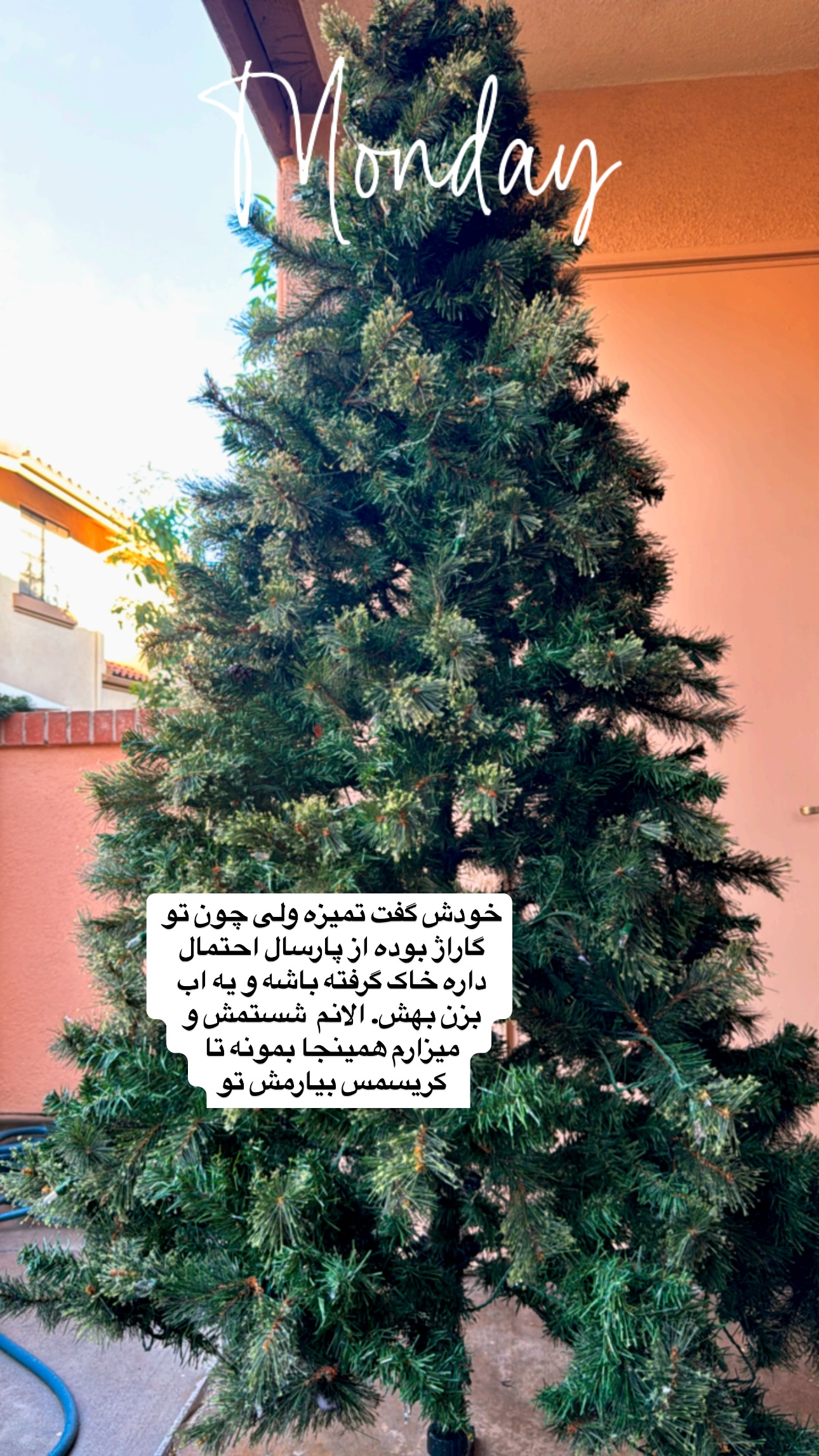  جدید ترین استوری اینستاگرام فرشیده کوچک