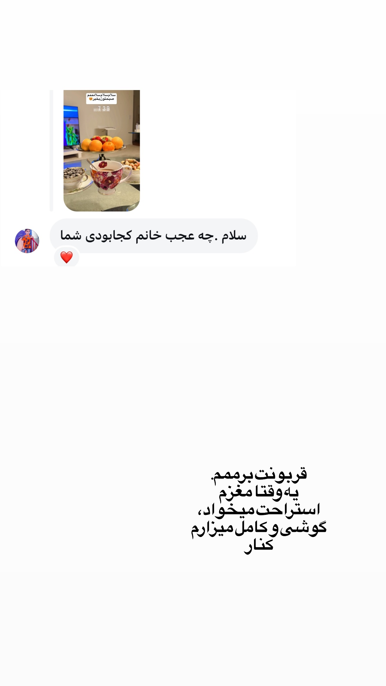  جدید ترین استوری اینستاگرام فرشیده کوچک